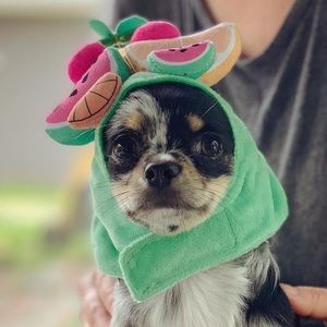 Meet your Posher, Alana